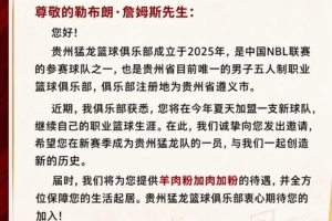 羊肉粉加肉加粉！贵州猛龙：这些理由 能打动詹姆斯加盟球队吗？配图