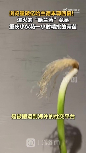 cos哈兰德的是蒜苗不是葱！重庆小伙才是原作者 视频被偷浏览破亿配图